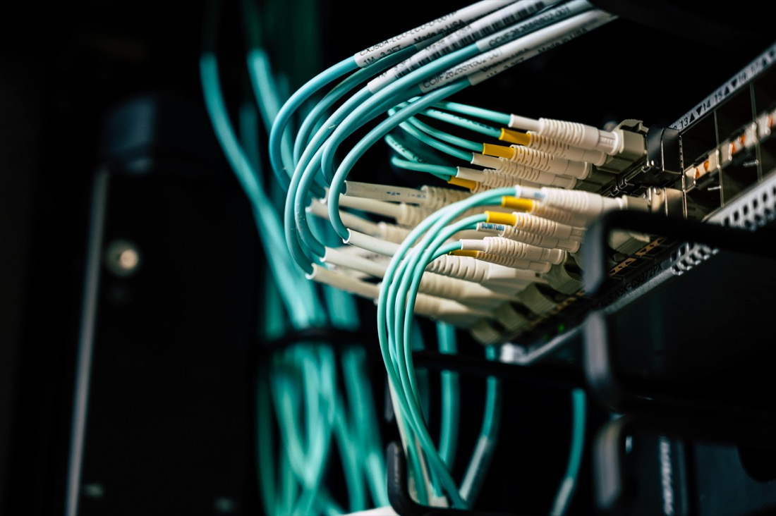 Network cables connected to rack equipment